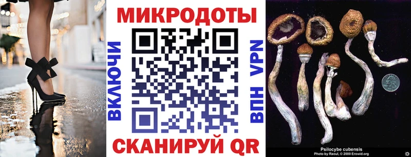 Галлюциногенные грибы прущие грибы  Купить  Павловск 